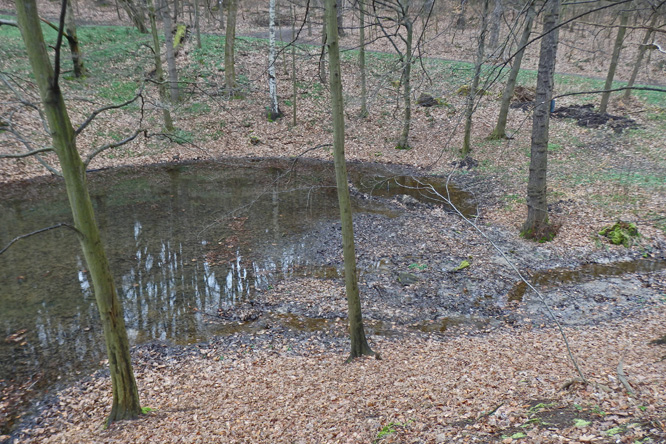 Sanierung (Entschlammung) Teich Schlosspark Thürmsdorf LPVOsterzgebirge